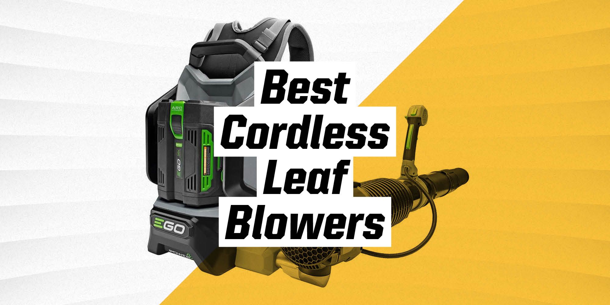 Best Cordless Leaf Blower And Trimmer 2022